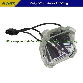 POA-LMP116 Vysoko Kvalitné Náhradné Projektor Lampa Pre SANYO PLC-XT35 / PLC-XT35L / PLC-ET30L s 180 dní záruka