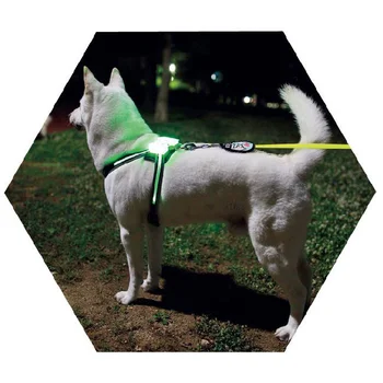 cc simon obojok accessoriesWholesale Nylon Bezpečnosť Psa Pás Postroj Svietiť LED Blikajúce Vodítku Síl viedlo psa na postroj