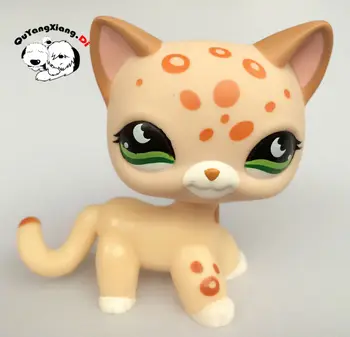 CWM015 Pet Shop Zvierat, Zelené oči Teplá žltá Mačka bábika akcie Obrázok mačiatko